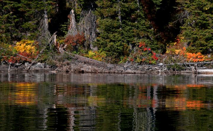 Jenny Lake 7226.jpg